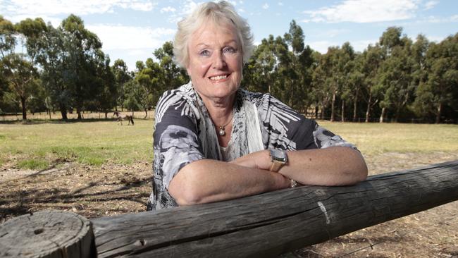 Helen Gerard on her property at Handorf. Picture: Tait Schmaal.