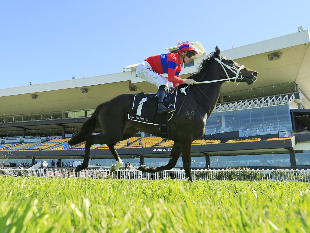 Verry Elleegant will fly the New Zealand flag on Tuesday.