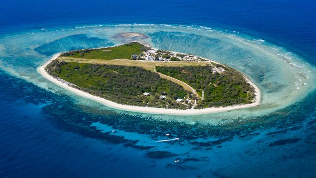 Lady Elliot island resort pic