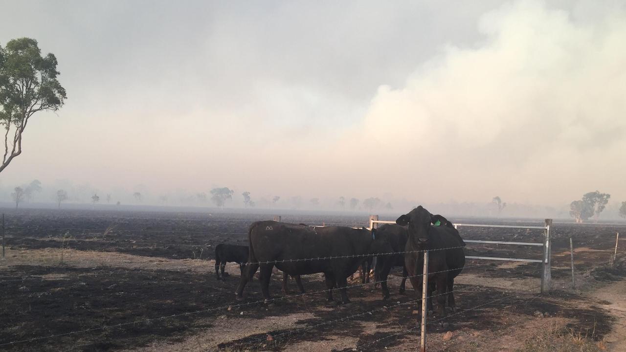 Photo gallery Yeppoon fires | The Chronicle