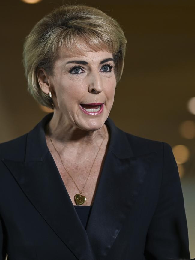 Senator Michaelia Cash discussing the government's closing loopholes bill