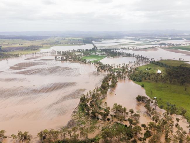 South Burnett flooding December 19, 2024. Barambah Creek downstream from Marshlands Bridge. Photo courtesy of Wade O'Briain from WR Media.