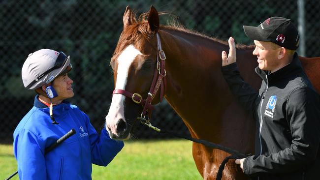 Craig Williams says Admire Deus has the right formline to be a serious Cups contender.