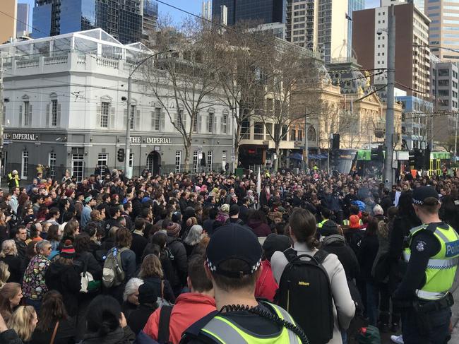 Hundreds of protesters rallied against the Western Highway upgrade.