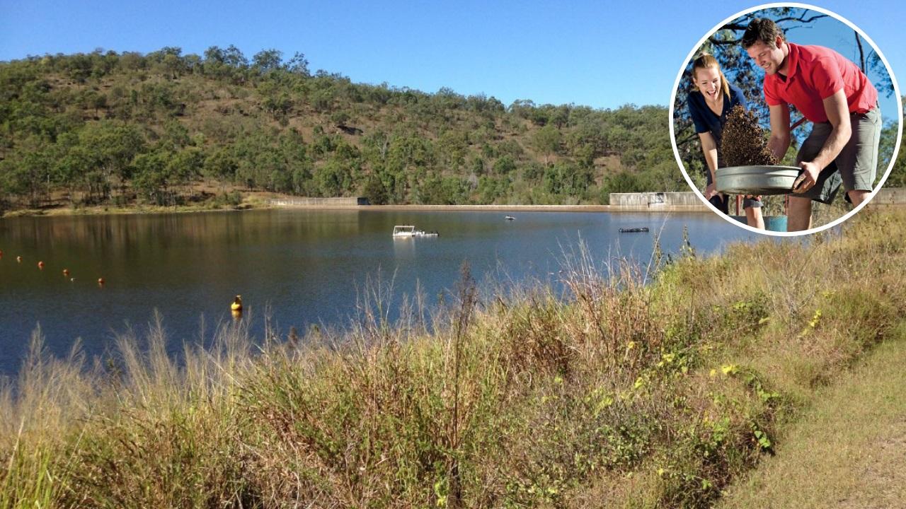Mount Morgan residents are encouraged to have their say on the potential establishment of a fossicking area at No. 7 Dam.