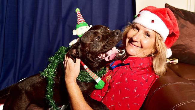 Cherrie Vitali with her dog Norman, the English staffy, have put an invite for struggling families to come spend Christmas with them.