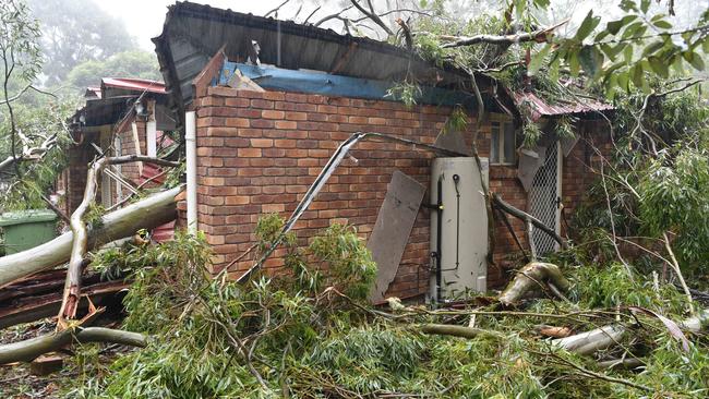 A house in Highfields is damaged by a falling tree as the aftermath of TC Alfred impacts Toowoomba, Sunday, March 9, 2025. Picture: Kevin Farmer