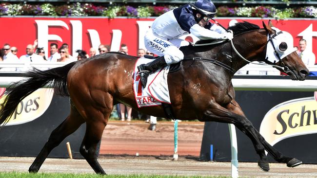 Derby Day Race 7, The AAMI Victoria Derby, won by Tarzino (7) ridden by Craig Newitt and trained by Mick Price. DerbyDay15 Picture Jay Town.