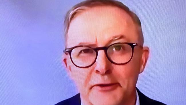 Opposition leader Anthony Albanese appears on the ABC after having contracted COVID 19 during the 2022 election campaign