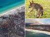Hell from above: Aerial photos show bushfire devastation
