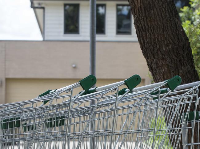 Council must clean up dumped trolleys