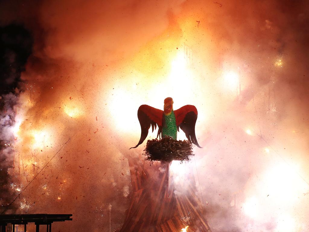 The Swift Parrot surrounded fireworks going off at the Ogoh Ogoh burning at Macquarie Point. Picture: LUKE BOWDEN