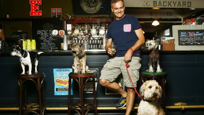 Iggy, Oscar, Jamieson and Blanche join human Mark Waldron at the Erskineville Hotel bar. A sight we could be seeing more of if the proposal to change laws goes ahead. (Pic: John Appleyard)