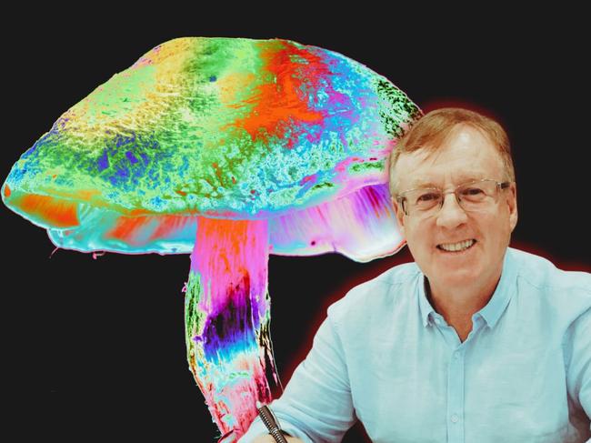 Joseph Healy and a magic mushroom