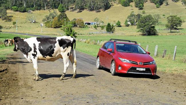 LETTER: One of the sad things I see as I travel around is the lack of decent vegetation management, trees blocking view of street signs and speed signs particularly on the rural areas. Picture: Susanna Freymark