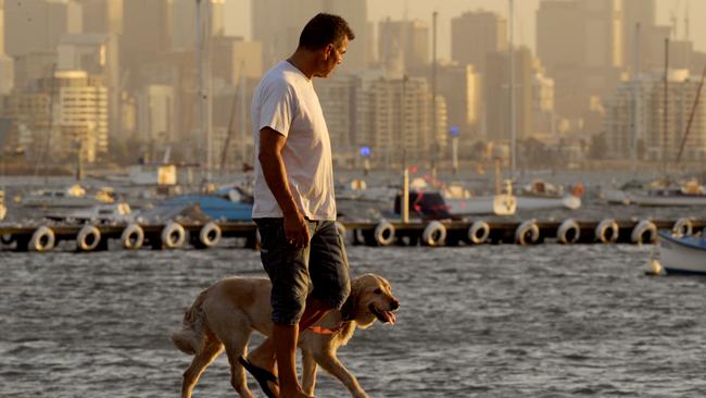 People try to beat the heatwave with an early morning walk along the Williamstown foreshore. Picture: Andrew Henshaw