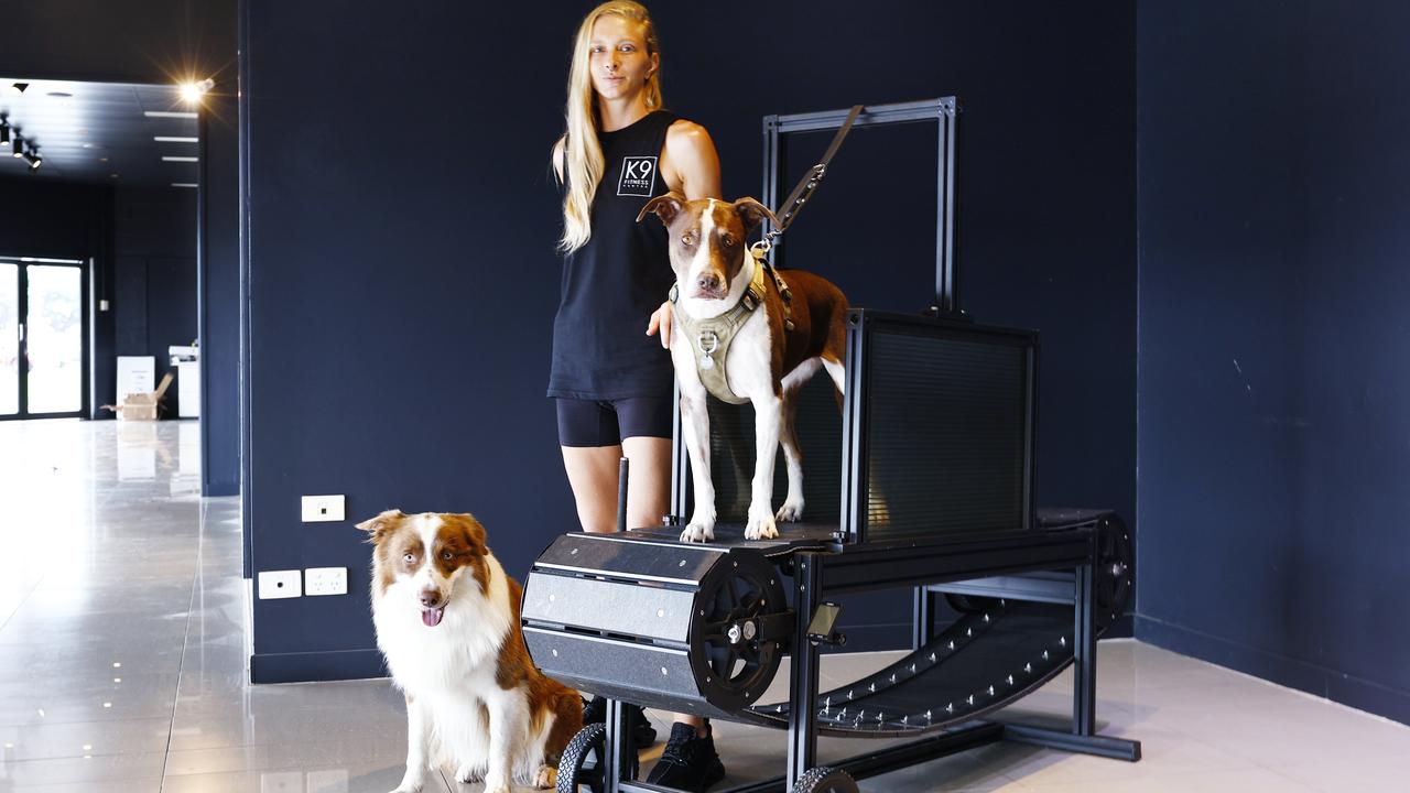 K9 Fitness Centre owner Charlie Abraham with Willow and Harley the border collie. Picture: Brendan Radke