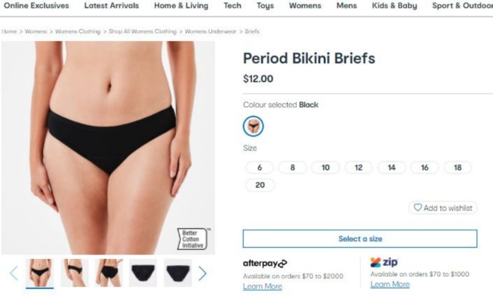 Buying the Kmart Period Underwear