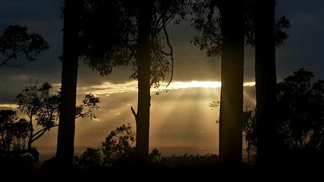 Watching the sun break through the clouds at Tamborine Mountain. Photo: Benjamen Cullen.