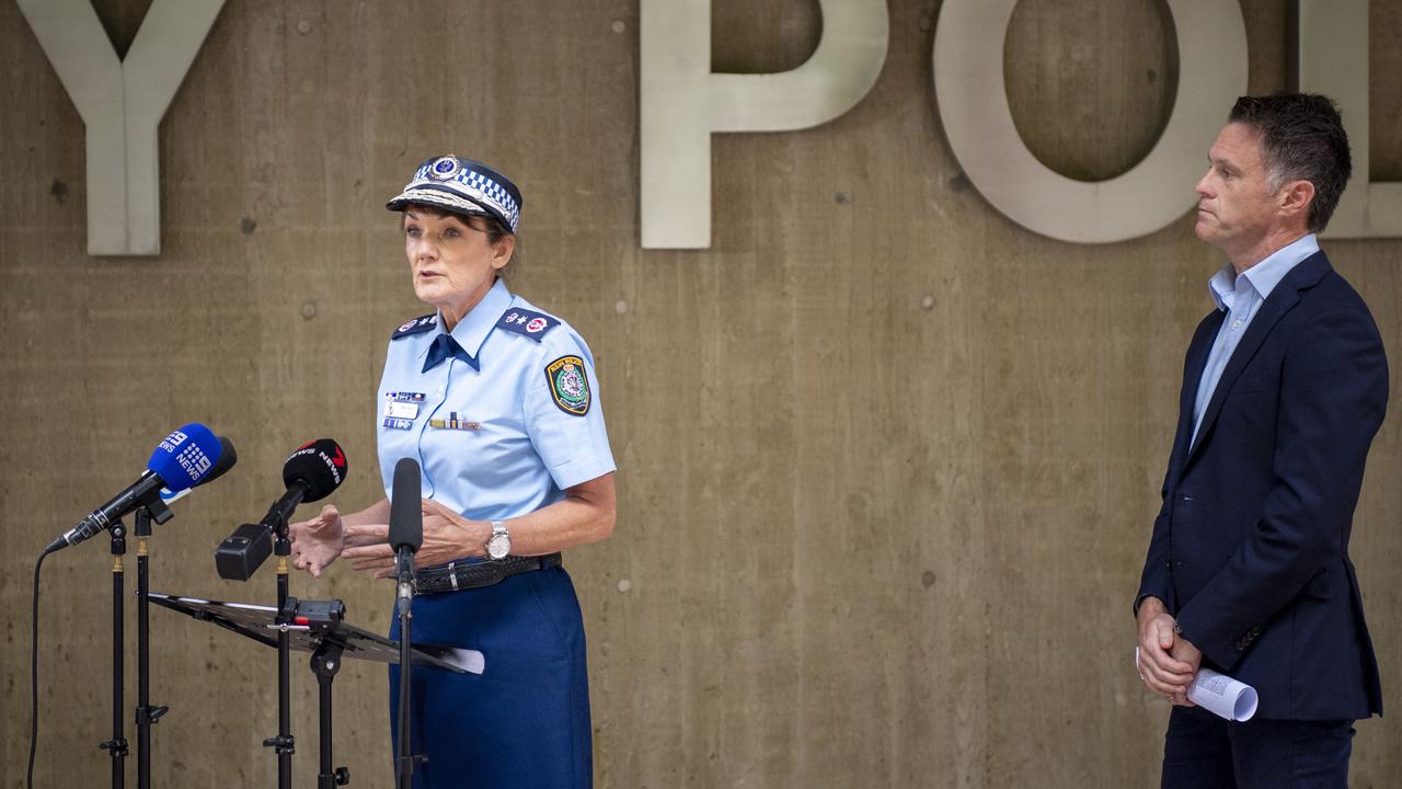 NSW top cop Karen Webb to resign