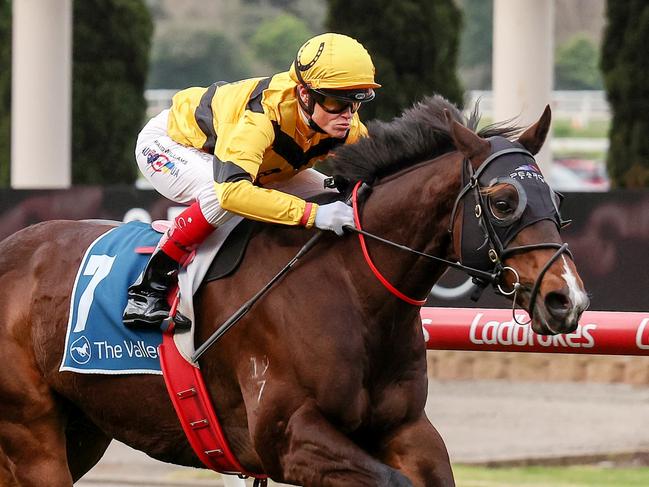 Acromantula ridden by Craig Williams wins the Paramount Liquor Carlyon Stakes at Moonee Valley Racecourse on August 26, 2023 in Moonee Ponds, Australia. (Photo by George Sal/Racing Photos via Getty Images)