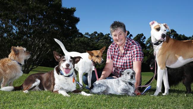 Jacki Largo runs the volunteer-based Paws and Recover to provide people in hospital, temporary accommodation or in respite with pet care.