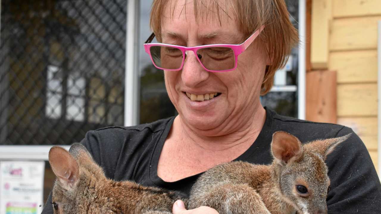 BUNDLE OF JOY: Dr Heather Gray with some of her adopted joeys, outside the Mungallala Internet Cafe. Picture: Ellen Ransley