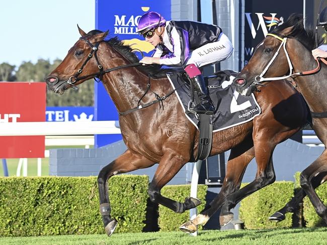 Olivia's Spirit, pictured winning at Wyong in April, has a good chance to notch another win at Coffs Harbour today. Picture: Bradley Photos