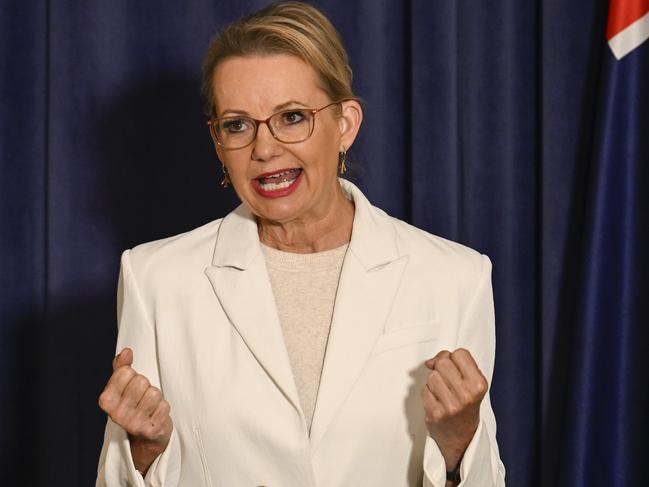 Leader of the Opposition Sussan Ley holds a press conference at Parliament House in Canberra. Picture: NewsWire / Martin Ollman
