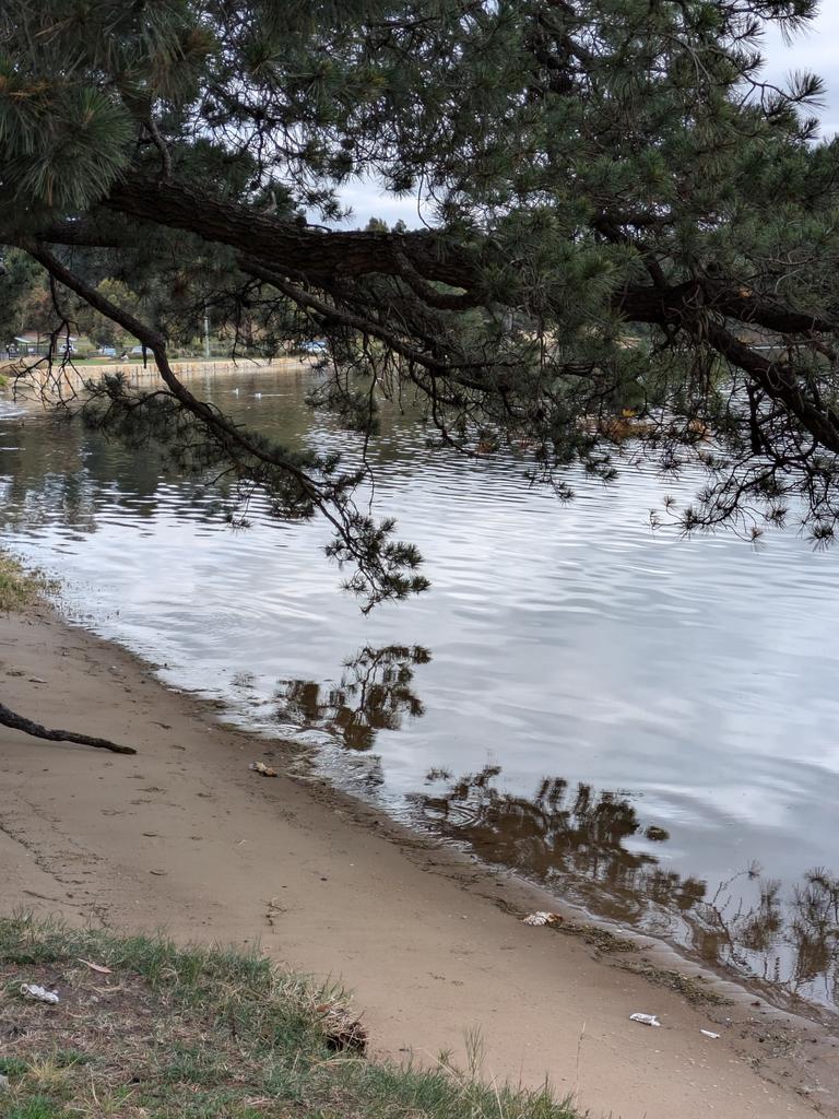 Cornelian Bay. Picture: Robyn Saunders. Your Focus on Tasmania ***ONE TIME USE ONLY***