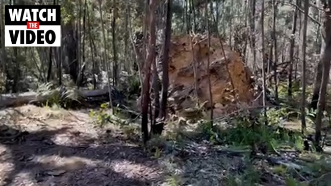 Grisly scene where bodies of missing campers allegedly buried