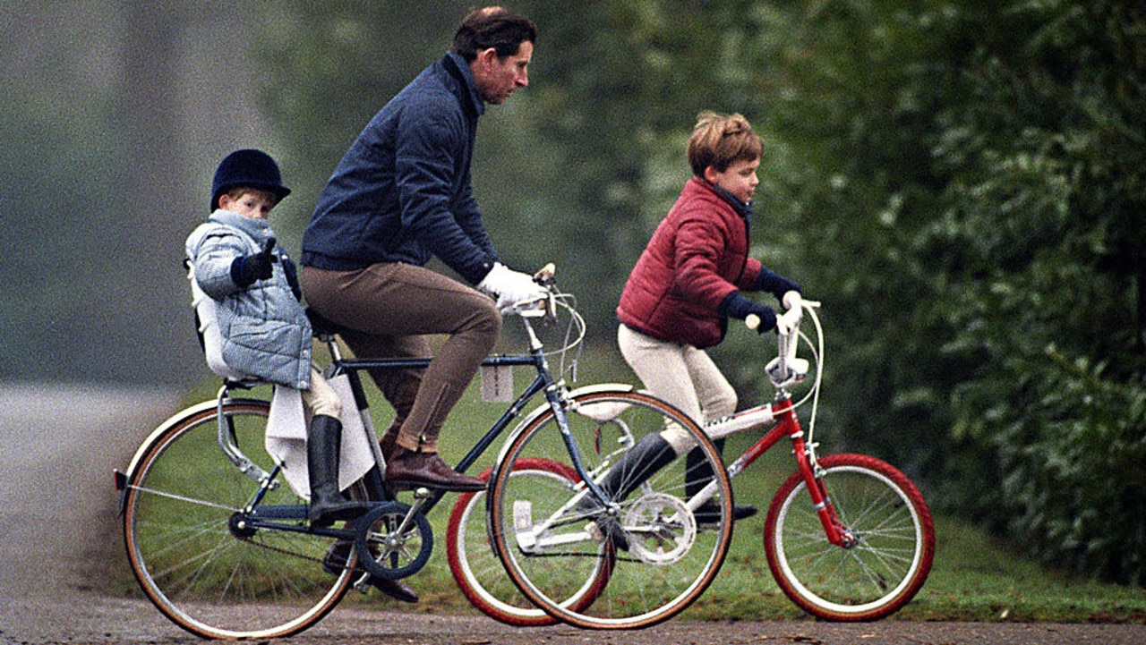 Prince Harry, Prince Charles and Prince William at Sandringham Estate, Norfolk. Picture: Julian Parker/UK Press via Getty Images