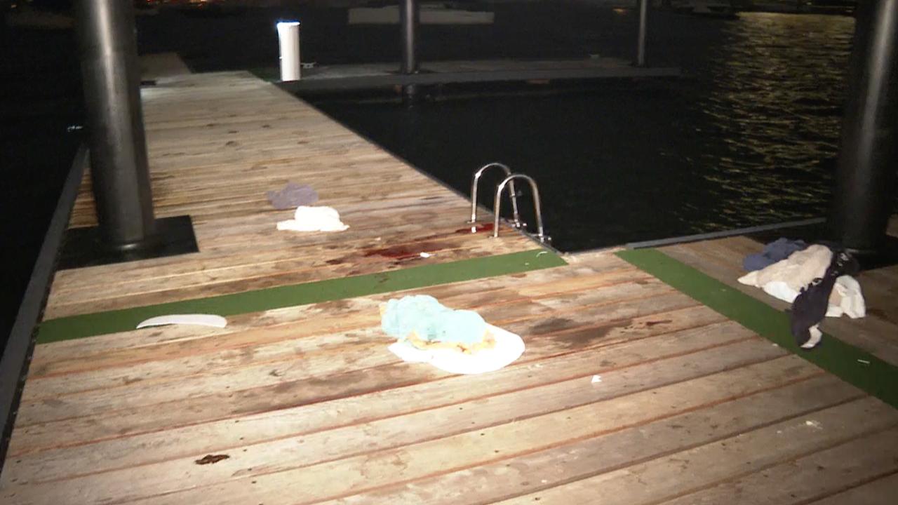 Woman bitten in Sydney Harbour shark attack | news.com.au — Australia’s
