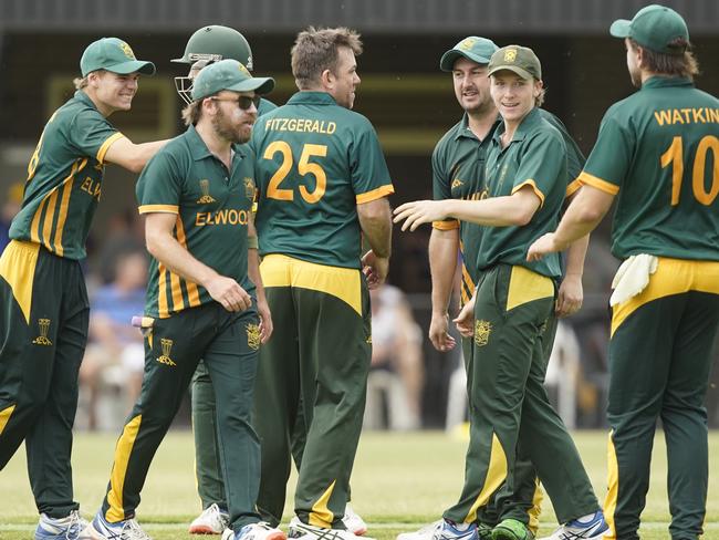 Elwood players celebrate a wicket.