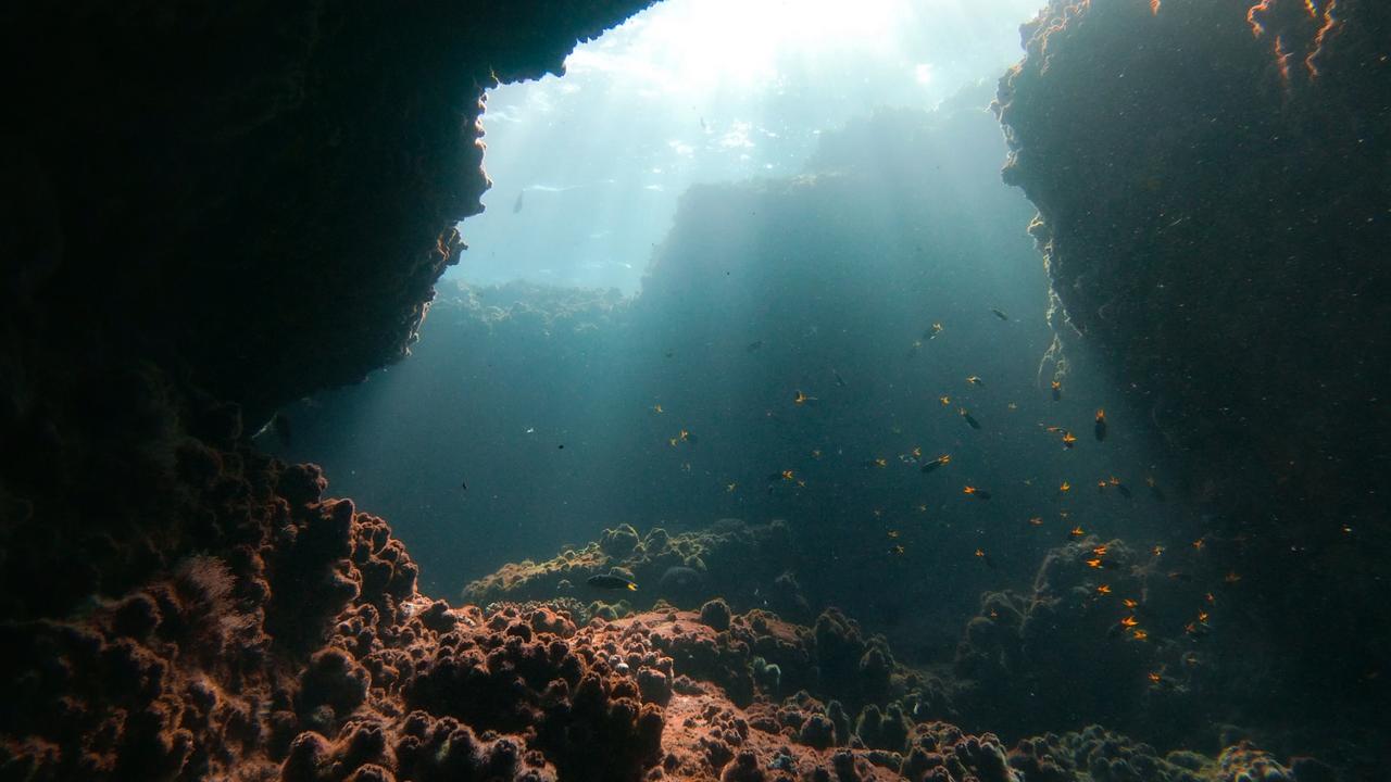 Mudjimba Island offers great visibility for snorkellers and divers. Picture: Sunreef