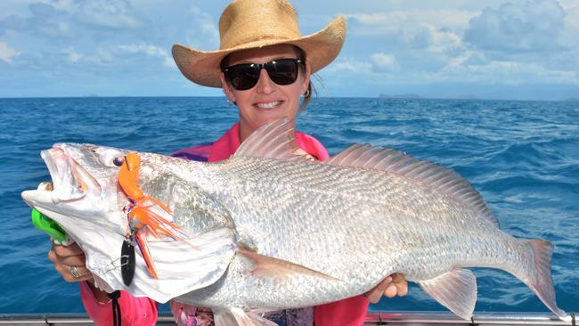 Fishers on Queensland’s east coast cannot keep black jewfish until next year.