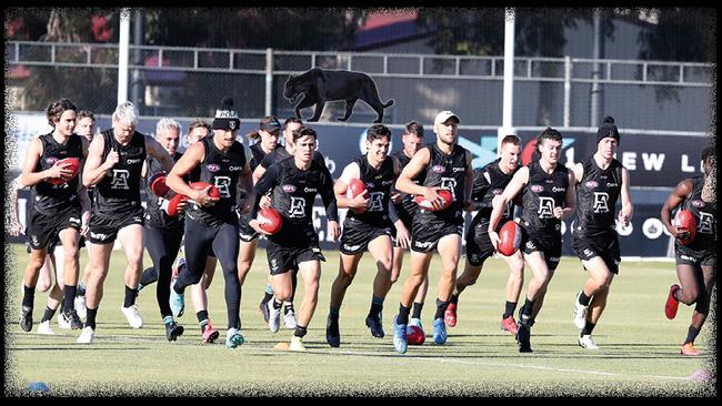 Jasper the panther stalks Port Adelaide during training at Alberton … in an artist impression. Picture digitally manipulated.