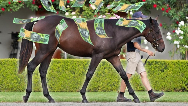 Winx's only foal smashes world record for yearling filly