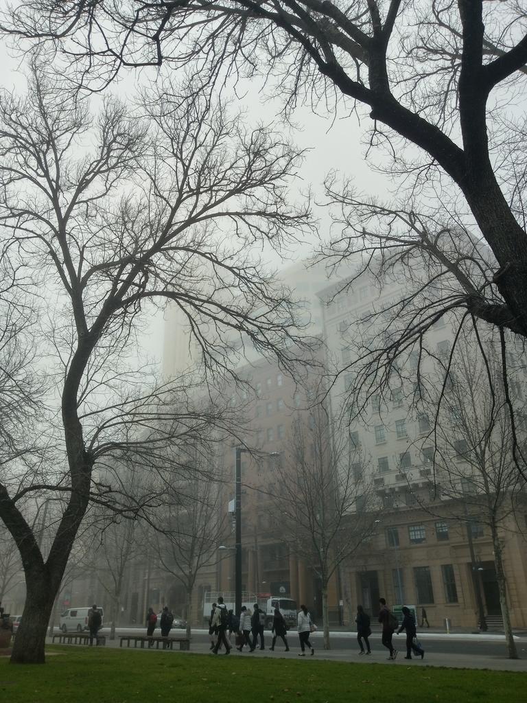 Fog blankets North Tce. Picture: Jarrod Taylor