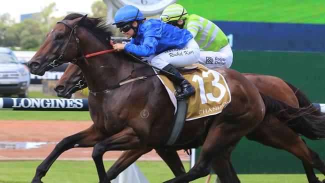 Andermatt is ready for a peak performance third-up at Rosehill on Saturday. Picture: Grant Guy