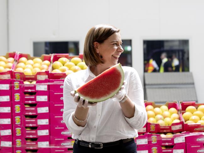 Brisbane, AUSTRALIA - NewsWire Photos October 16, 2020: Queensland opposition LNP leader Deb Frecklington announces that a LNP Government will provide $14M to deliver an x-ray unit at the Brisbane Market's. The plan will create up to 80 jobs and hopes to double the value of Queensland agricultural production. Picture: NCA NewsWire / Sarah Marshall