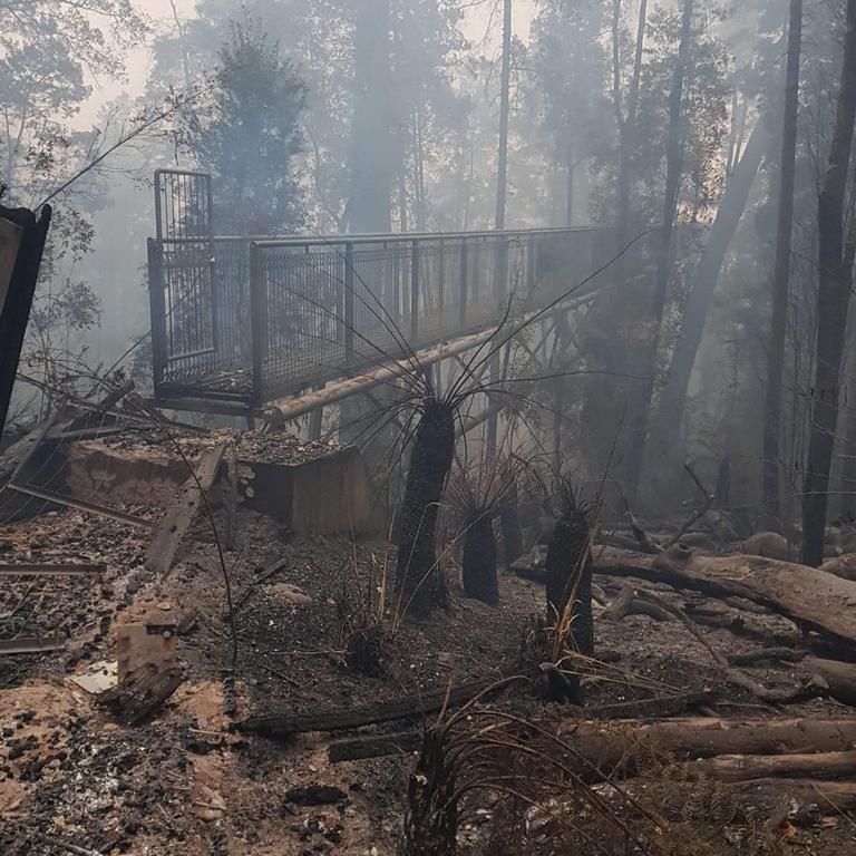 Tahune Airwalk closed due to coronavirus after reopening following the ...