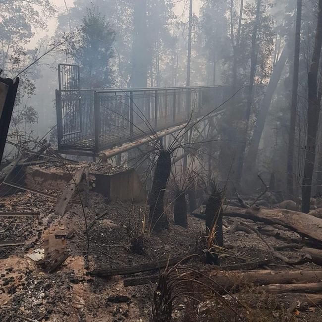 The Tahune Airwalk after the devastating January 2019 bushfires ripped through the area.