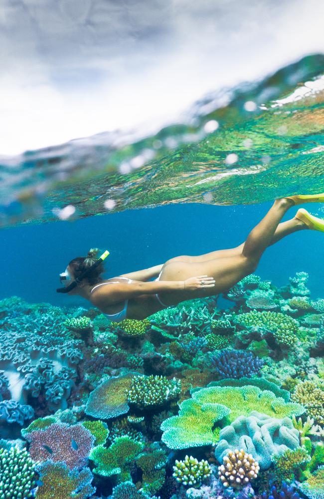 New deals are offering huge discounts on holidays to the Great Barrier Reef. Picture: Tourism and Events Queensland.