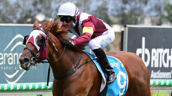 Glen Boss rides Swift Witness to victory at the Gold Coast. Picture: Trackside Photography