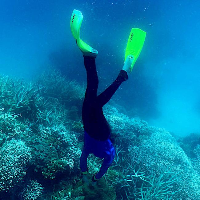 A diver in the Great Barrier Reef in March this year. Picture: AFP