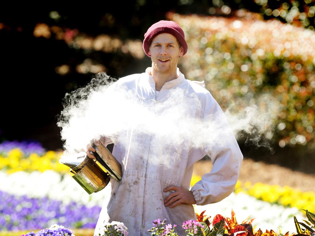 <span class="h2">BEE ALIVE</span> Learn about backyard beekeeping at Roma Street Parklands, part of the Parks Alive program of activities at Roma Street, South Bank Parklands, City Botanic Gardens and Brisbane Botanic Gardens at Mount Coot-tha. <b><a href="http://www.mustdobrisbane.com/kids-whats-on-kids-whats-on/parks-alive-roma-street-parkland">More info</a></b>