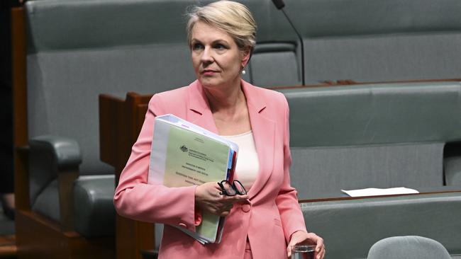 Environment Minister Tanya Plibersek. Picture: NCA NewsWire / Martin Ollman