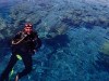 I've dived the world, this spot stunned me
