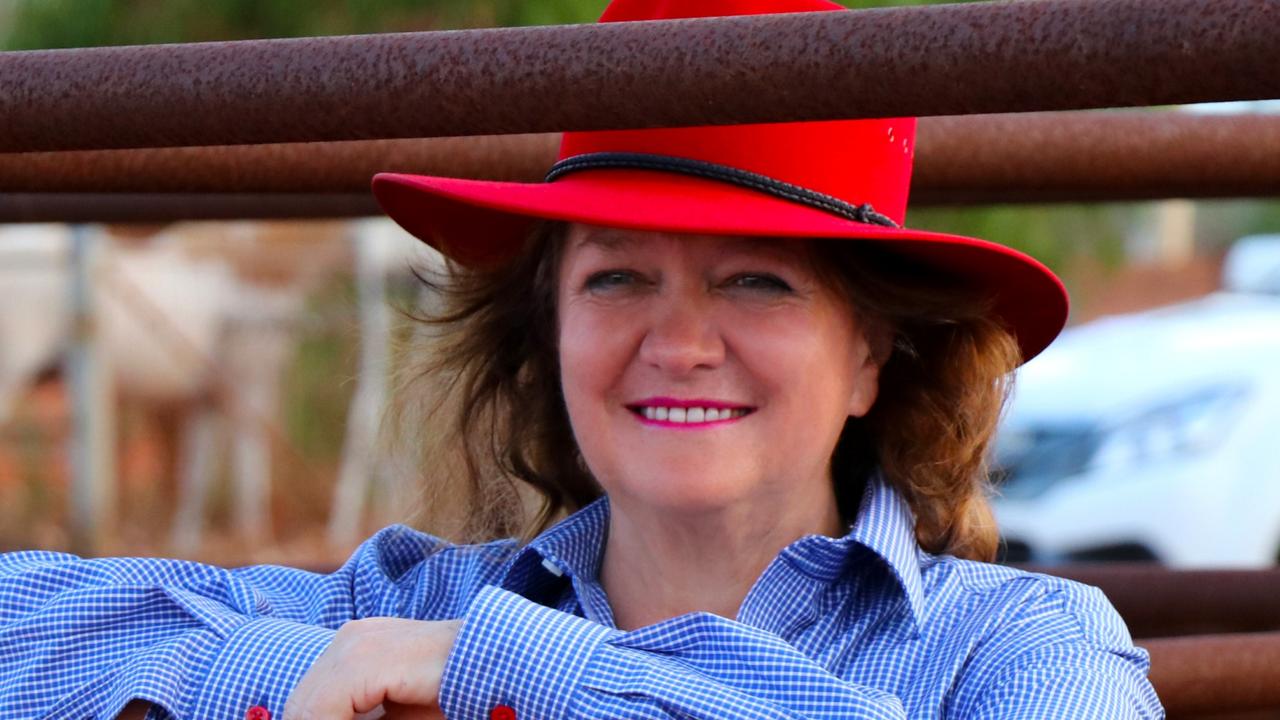 Australia’s richest Gina Reinhart donates  million to Royal Flying Doctors